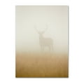 thumbnail image 1 of Trademark Fine Art 'Ghost Stag' Canvas Art by Stuart Harling, 1 of 3