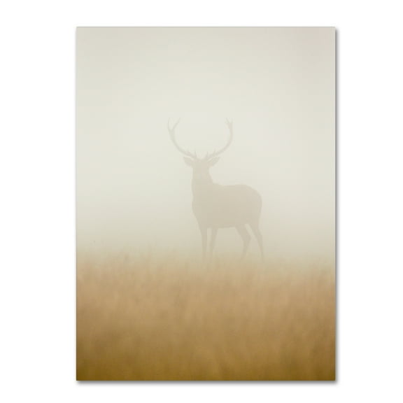 Trademark Fine Art 'Ghost Stag' Canvas Art by Stuart Harling