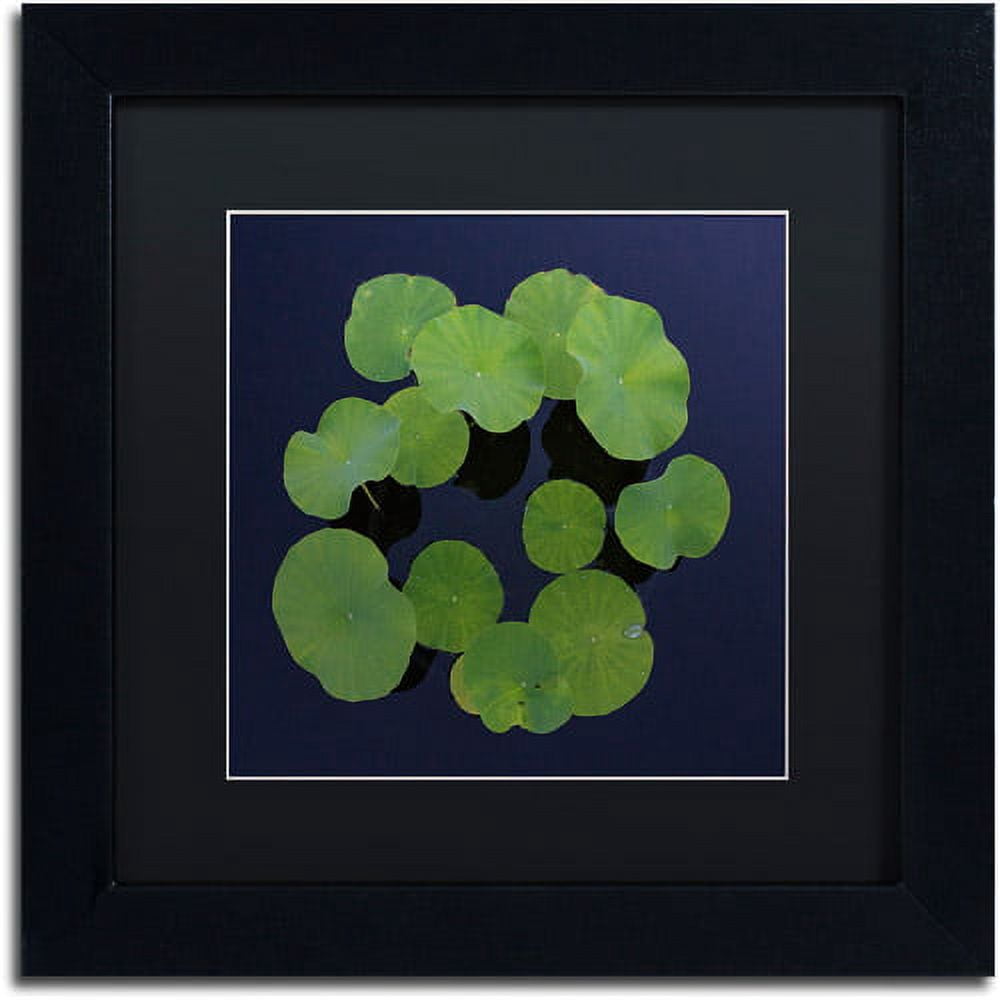 Trademark Fine Art "Giant Lily Pad Abstract" Canvas Art by Kurt Shaffer Black Matte, Black Frame