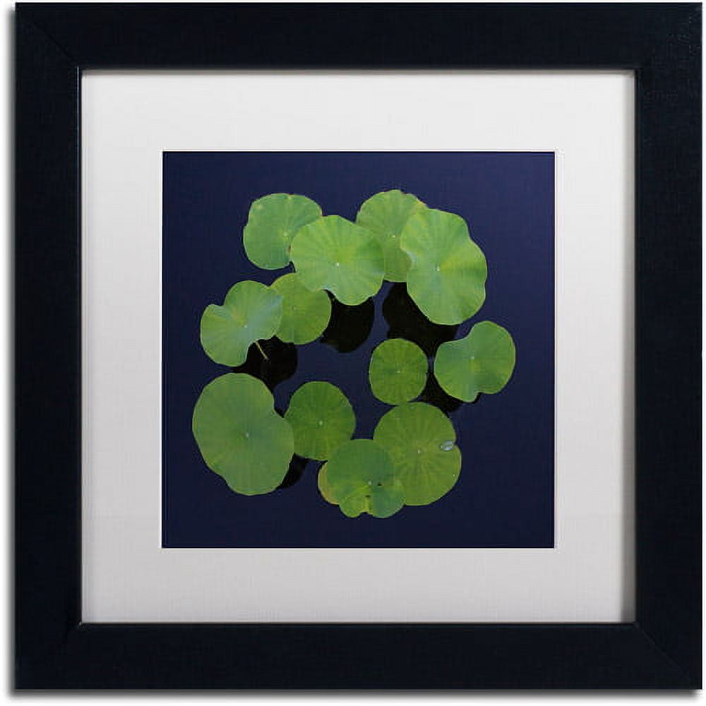 Trademark Fine Art "Giant Lily Pad Abstract" Canvas Art by Kurt Shaffer White Matte, Black Frame