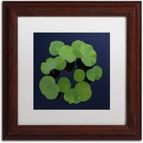 Trademark Fine Art "Giant Lily Pad Abstract" Canvas Art by Kurt Shaffer White Matte, Wood Frame
