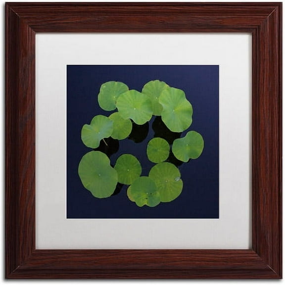 Trademark Fine Art "Giant Lily Pad Abstract" Canvas Art by Kurt Shaffer White Matte, Wood Frame