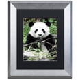 thumbnail image 1 of Trademark Fine Art "Giant Panda" Canvas Art by Philippe Hugonnard, Black Matte, Silver Frame, 1 of 4