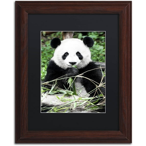 Trademark Fine Art "Giant Panda" Canvas Art by Philippe Hugonnard, Black Matte, Wood Frame