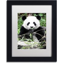 Trademark Fine Art "Giant Panda" Canvas Art by Philippe Hugonnard, White Matte, Black Frame