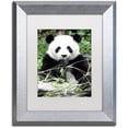 thumbnail image 1 of Trademark Fine Art "Giant Panda" Canvas Art by Philippe Hugonnard, White Matte, Silver Frame, 1 of 3