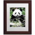 thumbnail image 1 of Trademark Fine Art "Giant Panda" Canvas Art by Philippe Hugonnard, White Matte, Wood Frame, 1 of 4