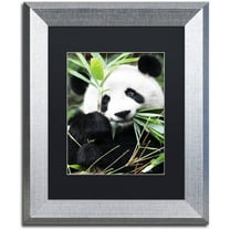 Trademark Fine Art "Giant Panda I" Canvas Art by Philippe Hugonnard, Black Matte, Silver Frame