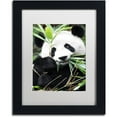 thumbnail image 1 of Trademark Fine Art "Giant Panda I" Canvas Art by Philippe Hugonnard, White Matte, Black Frame, 1 of 4
