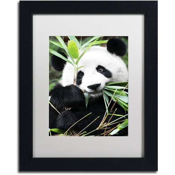 Trademark Fine Art "Giant Panda I" Canvas Art by Philippe Hugonnard, White Matte, Black Frame