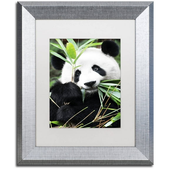 Trademark Fine Art "Giant Panda I" Canvas Art by Philippe Hugonnard, White Matte, Silver Frame