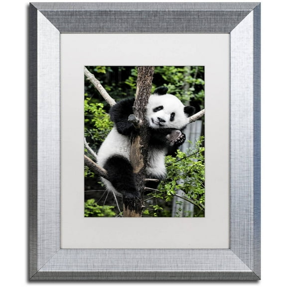 Trademark Fine Art "Giant Panda II" Canvas Art by Philippe Hugonnard, White Matte, Silver Frame