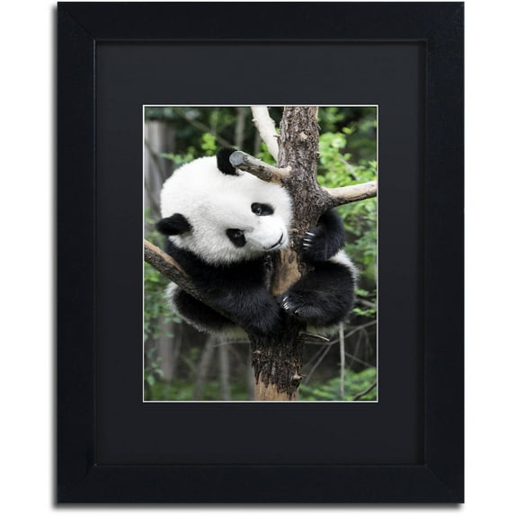 Trademark Fine Art "Giant Panda IV" Canvas Art by Philippe Hugonnard, Black Matte, Black Frame