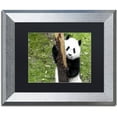 thumbnail image 1 of Trademark Fine Art 'Giant Panda VI' Canvas Art by Philippe Hugonnard Black Matte, Silver Frame, 1 of 4