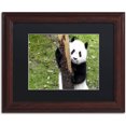 thumbnail image 1 of Trademark Fine Art "Giant Panda VI" Canvas Art by Philippe Hugonnard, Black Matte, Wood Frame, 1 of 1