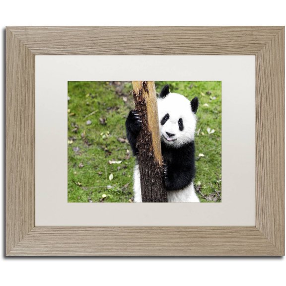 Trademark Fine Art "Giant Panda VI" Canvas Art by Philippe Hugonnard, White Matte, Birch Frame