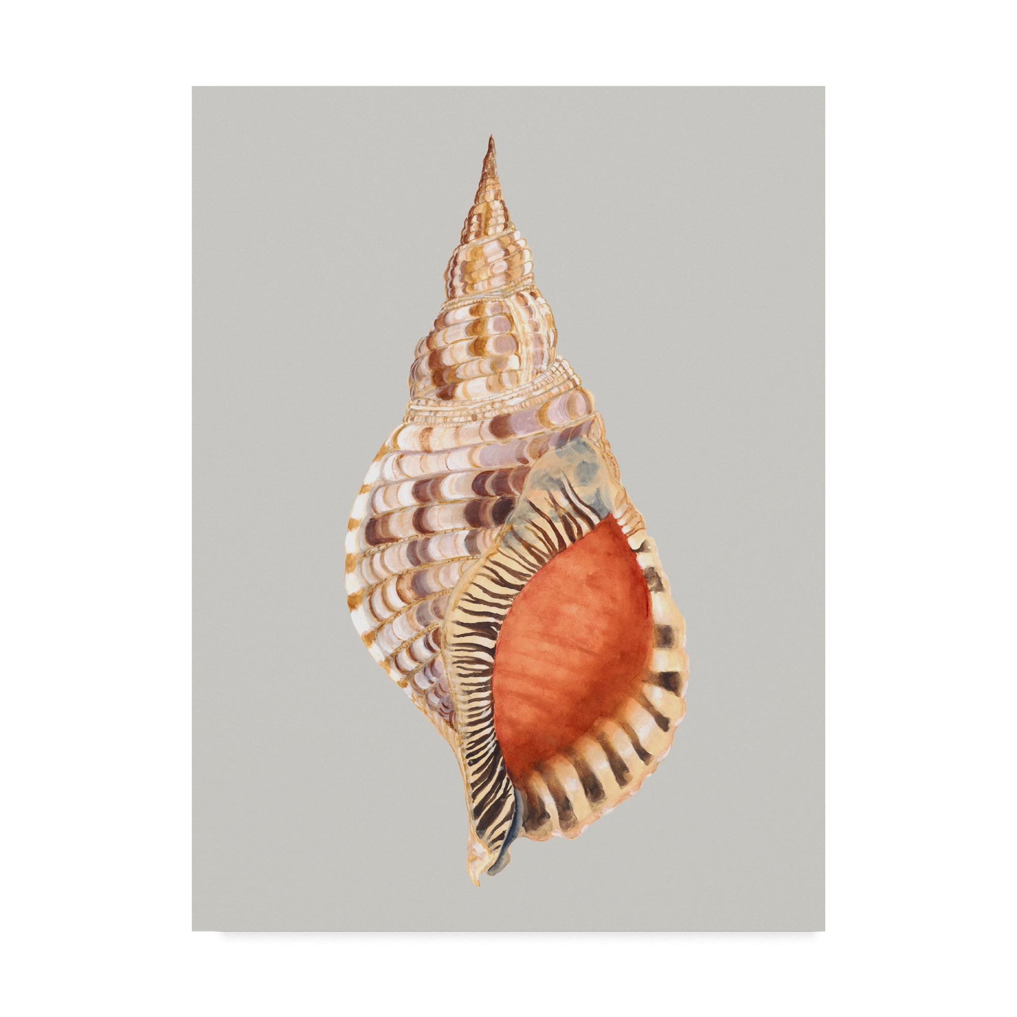 Trademark Fine Art 'Giant Triton' Canvas Art by Michael Willett