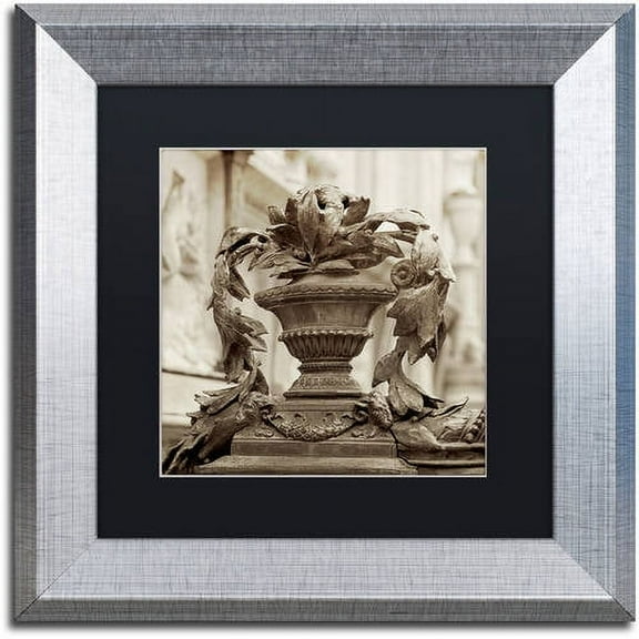 Trademark Fine Art "Giardini Italiano II" Canvas Art by Alan Blaustein, Black Matte, Silver Frame