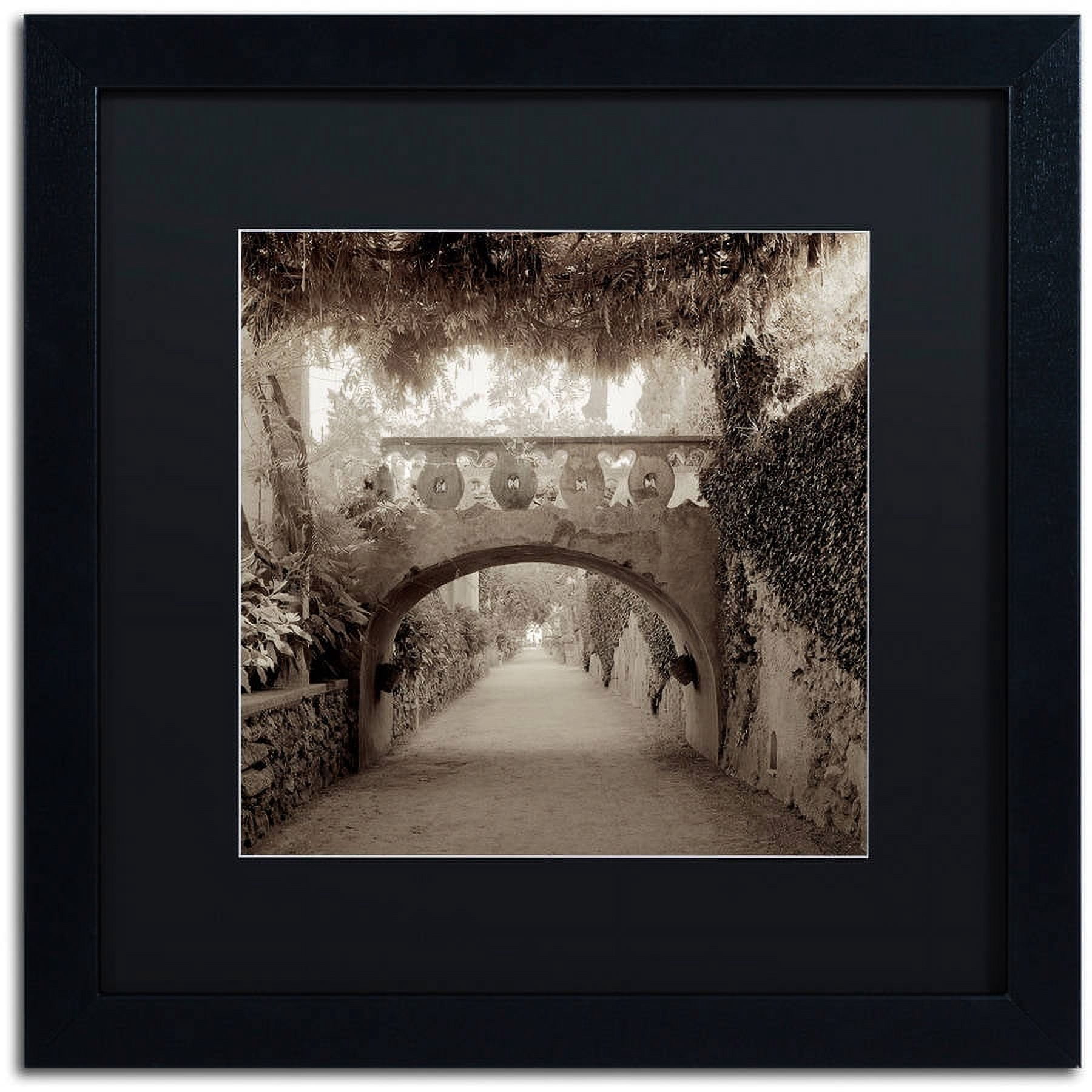 Trademark Fine Art "Giardini Italiano VI" Canvas Art by Alan Blaustein, Black Matte, Black Frame