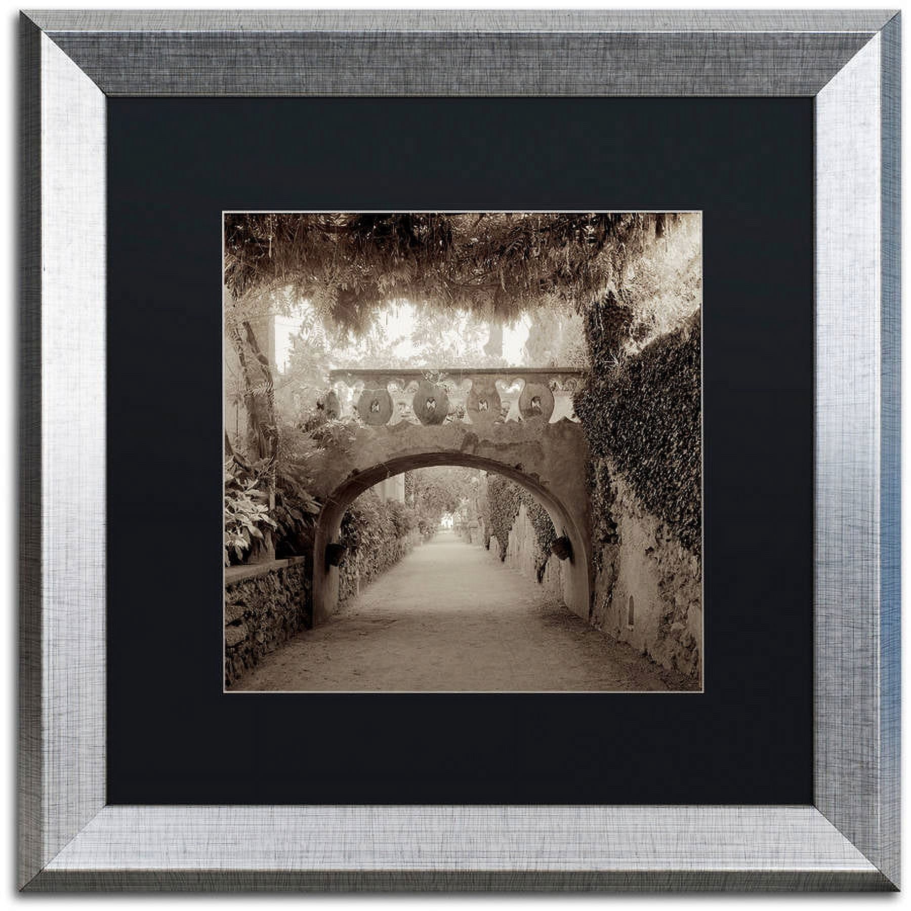 Trademark Fine Art "Giardini Italiano VI" Canvas Art by Alan Blaustein, Black Matte, Silver Frame