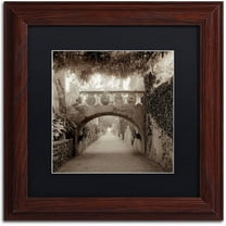 Trademark Fine Art "Giardini Italiano VI" Canvas Art by Alan Blaustein, Black Matte, Wood Frame