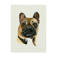 thumbnail image 1 of Trademark Fine Art 'Gidget' Canvas Art by Patsy Ducklow, 1 of 3