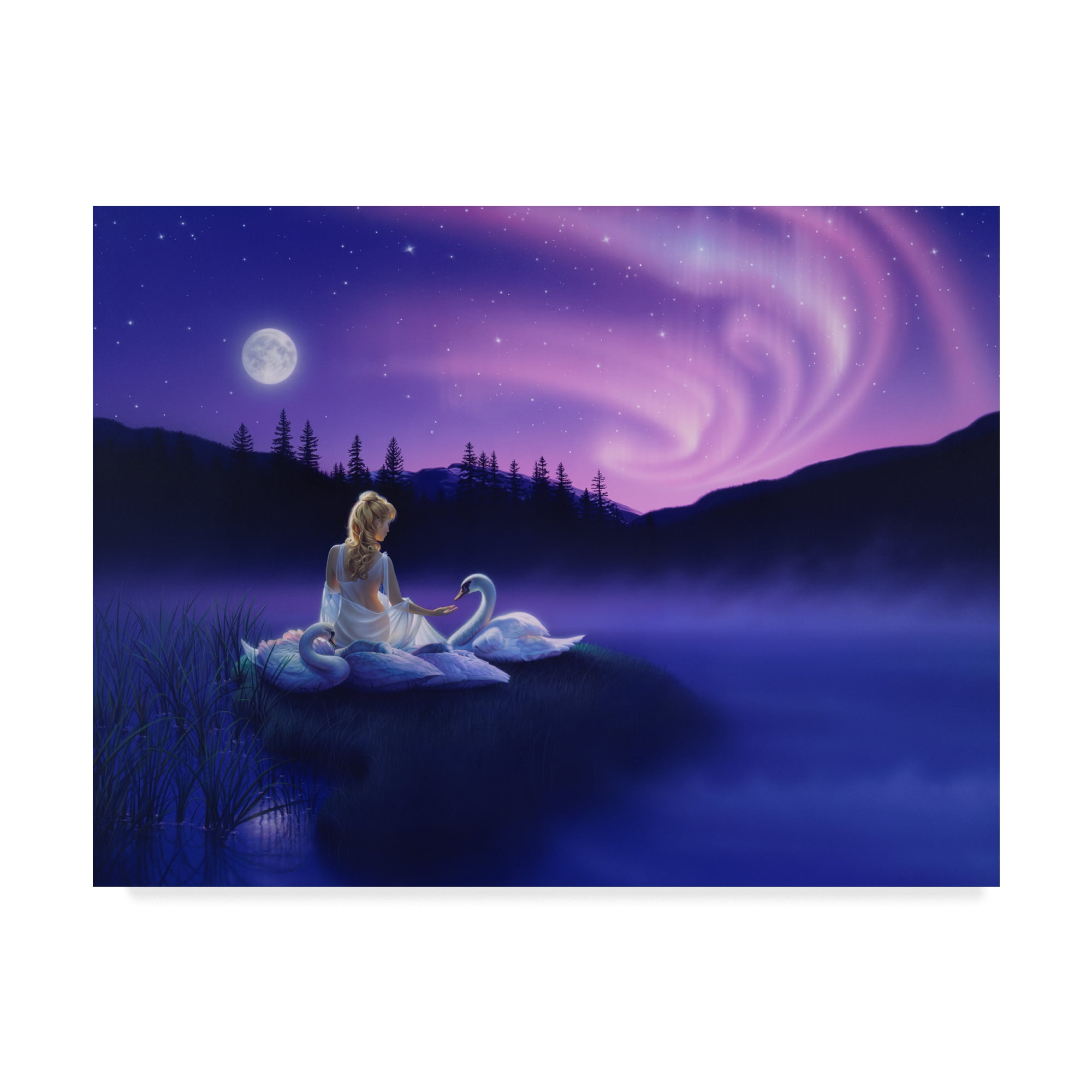 Trademark Fine Art 'Gift Of The Swan' Canvas Art by Kirk Reinert