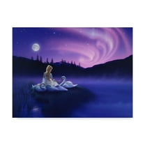 Trademark Fine Art 'Gift Of The Swan' Canvas Art by Kirk Reinert