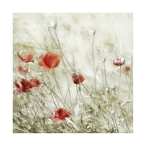 Trademark Fine Art Gilbert Claes  Corn Rose Canvas Wall Art