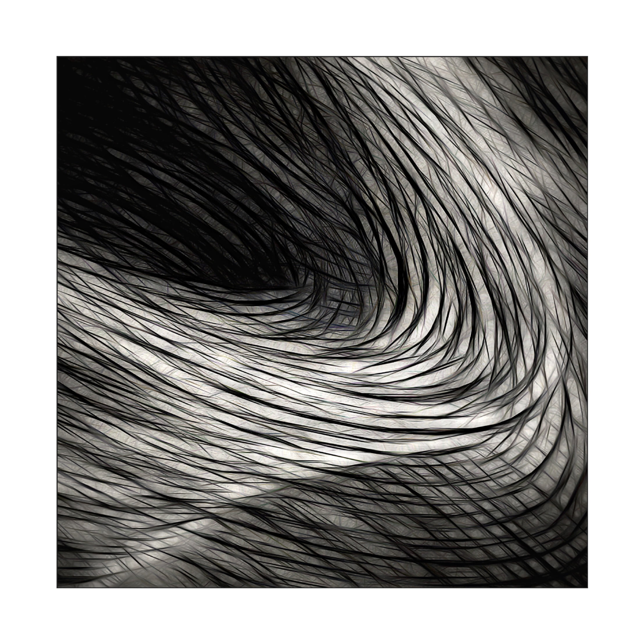 Trademark Fine Art Gilbert Claes  Dark madness Canvas Wall Art