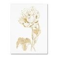 thumbnail image 1 of Trademark Fine Art 'Gilded Botanical VII' Canvas Art by Wild Apple Portfolio, 1 of 3