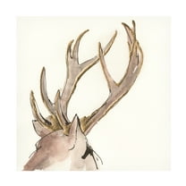 Trademark Fine Art 'Gilded Deer' Canvas Art by Chris Paschke