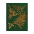 thumbnail image 1 of Trademark Fine Art 'Gilded Ferns II' Canvas Art by Vision Studio, 1 of 3