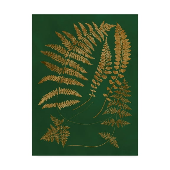 Trademark Fine Art 'Gilded Ferns III' Canvas Art by Vision Studio