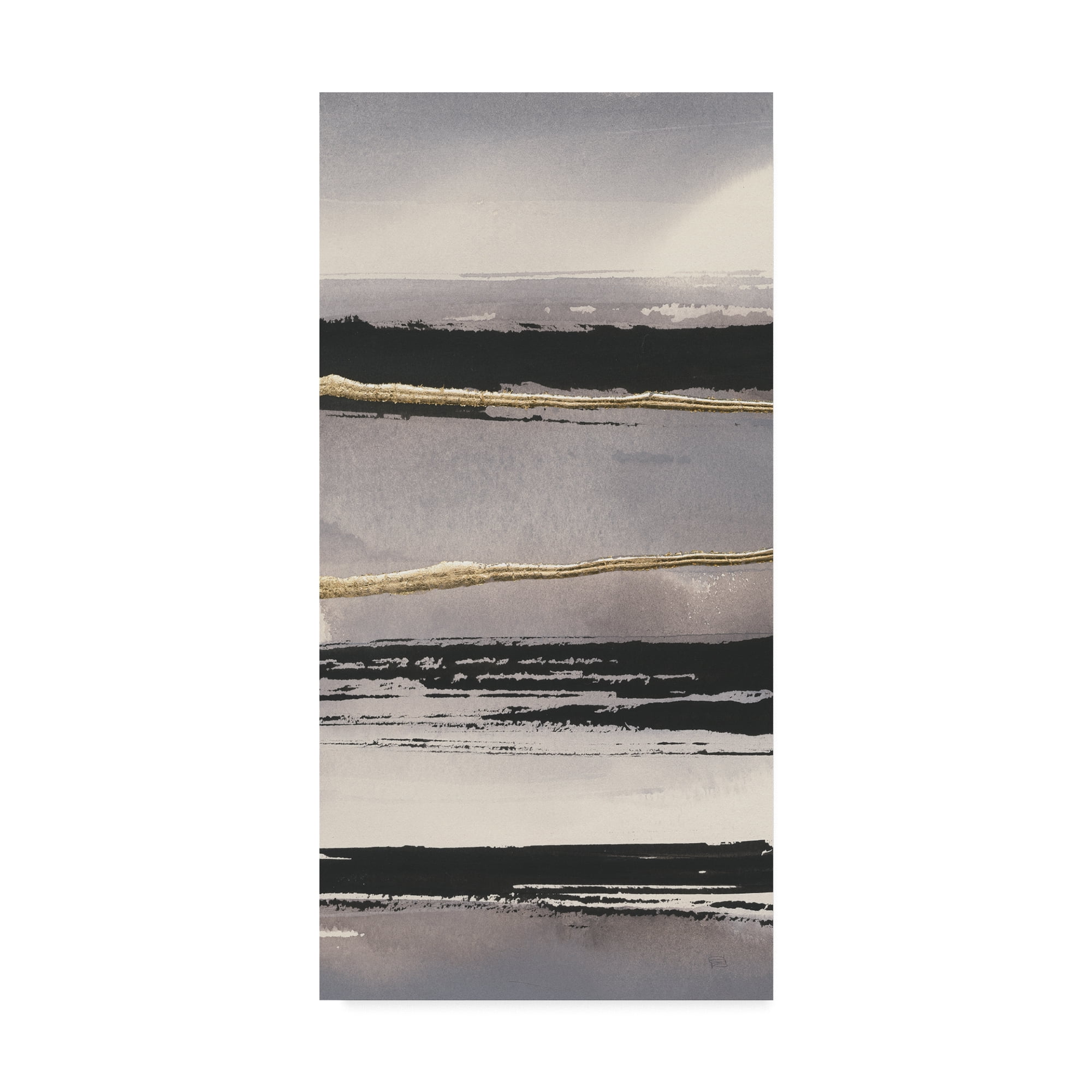 Trademark Fine Art 'Gilded Grey I Crop' Canvas Art by Chris Paschke