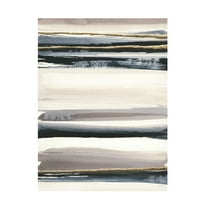 Trademark Fine Art 'Gilded Grey III' Canvas Art by Chris Paschke