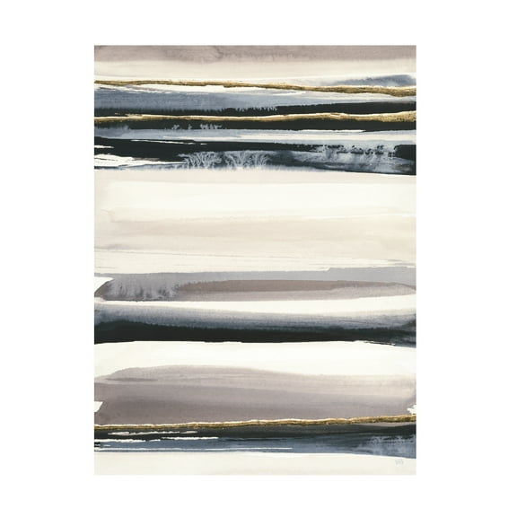 Trademark Fine Art 'Gilded Grey III' Canvas Art by Chris Paschke