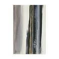 thumbnail image 1 of Trademark Fine Art 'Gilded Grey IV Crop I' Canvas Art by Chris Paschke, 1 of 3