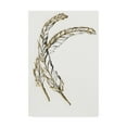 thumbnail image 1 of Trademark Fine Art 'Gilded Hackles Feather' Canvas Art by Chris Paschke, 1 of 3