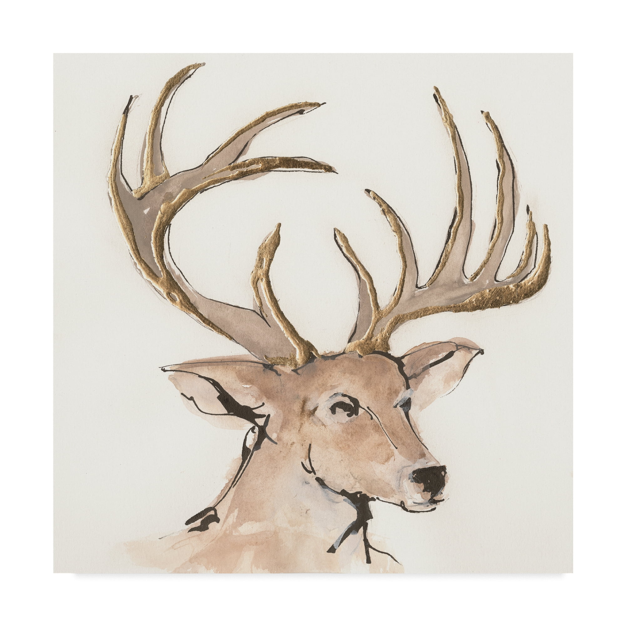 Trademark Fine Art 'Gilded Mule Deer' Canvas Art by Chris Paschke