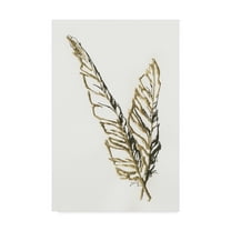 Trademark Fine Art 'Gilded Raven Feather' Canvas Art by Chris Paschke