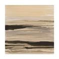 thumbnail image 1 of Trademark Fine Art 'Gilded Surf' Canvas Art by Chris Paschke, 1 of 3