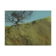 thumbnail image 1 of Trademark Fine Art 'Gilfach Hawthorn' Canvas Art by Paul Bailey, 1 of 4