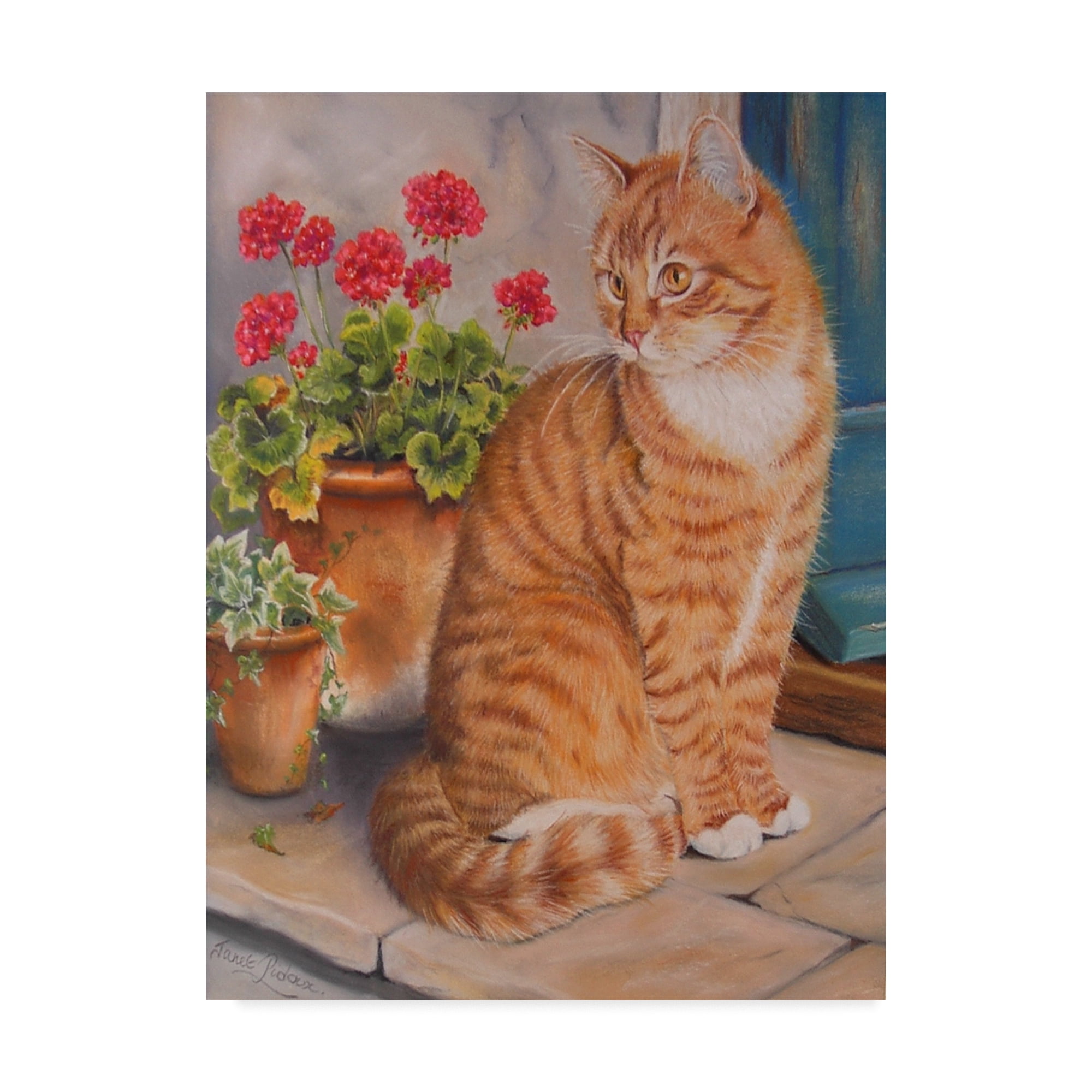 Trademark Fine Art 'Ginger Cat On Doorstep' Canvas Art by Janet Pidoux