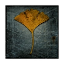 Trademark Fine Art 'Gingko Blue' Canvas Art by John W. Golden
