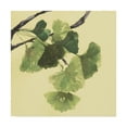 thumbnail image 1 of Trademark Fine Art 'Gingko Leaves I Dark' Canvas Art by Chris Paschke, 1 of 3