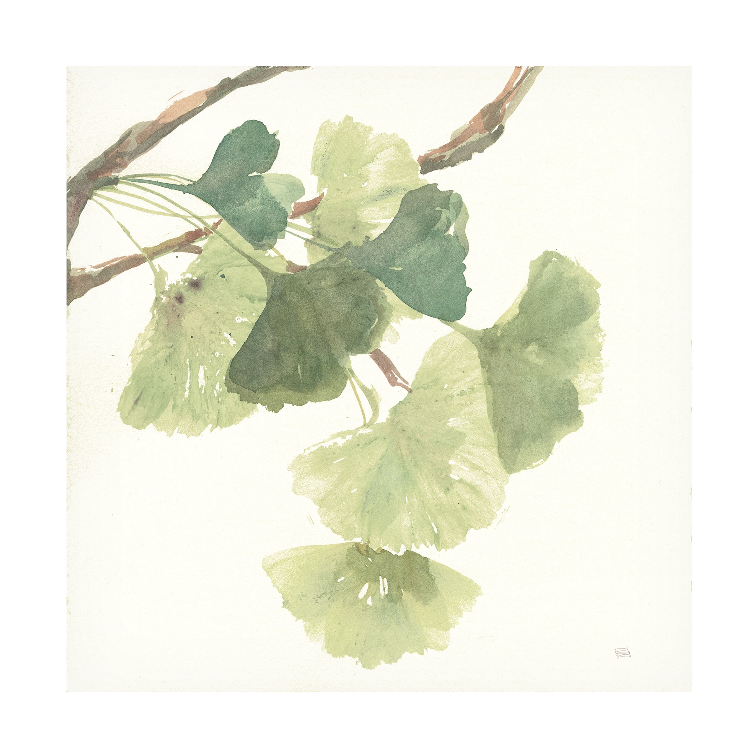 Trademark Fine Art "Gingko Leaves I Light" Canvas Art by Chris Paschke