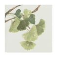thumbnail image 1 of Trademark Fine Art 'Gingko Leaves I on White' Canvas Art by Chris Paschke, 1 of 3