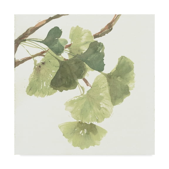 Trademark Fine Art 'Gingko Leaves I on White' Canvas Art by Chris Paschke