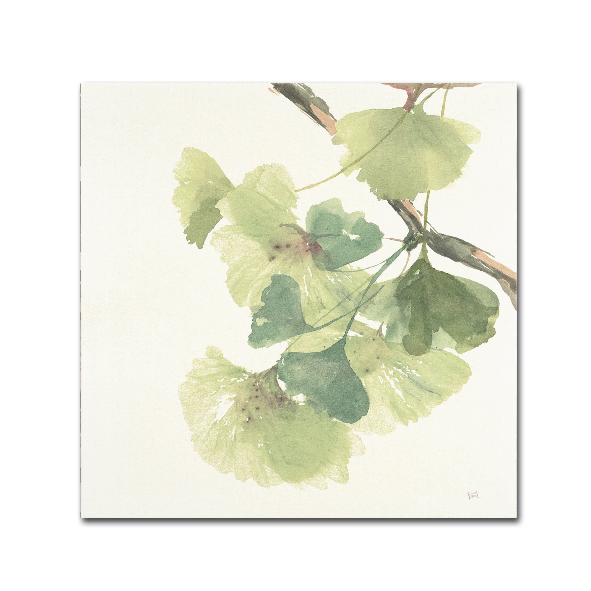 Trademark Fine Art "Gingko Leaves II Light" Canvas Art by Chris Paschke